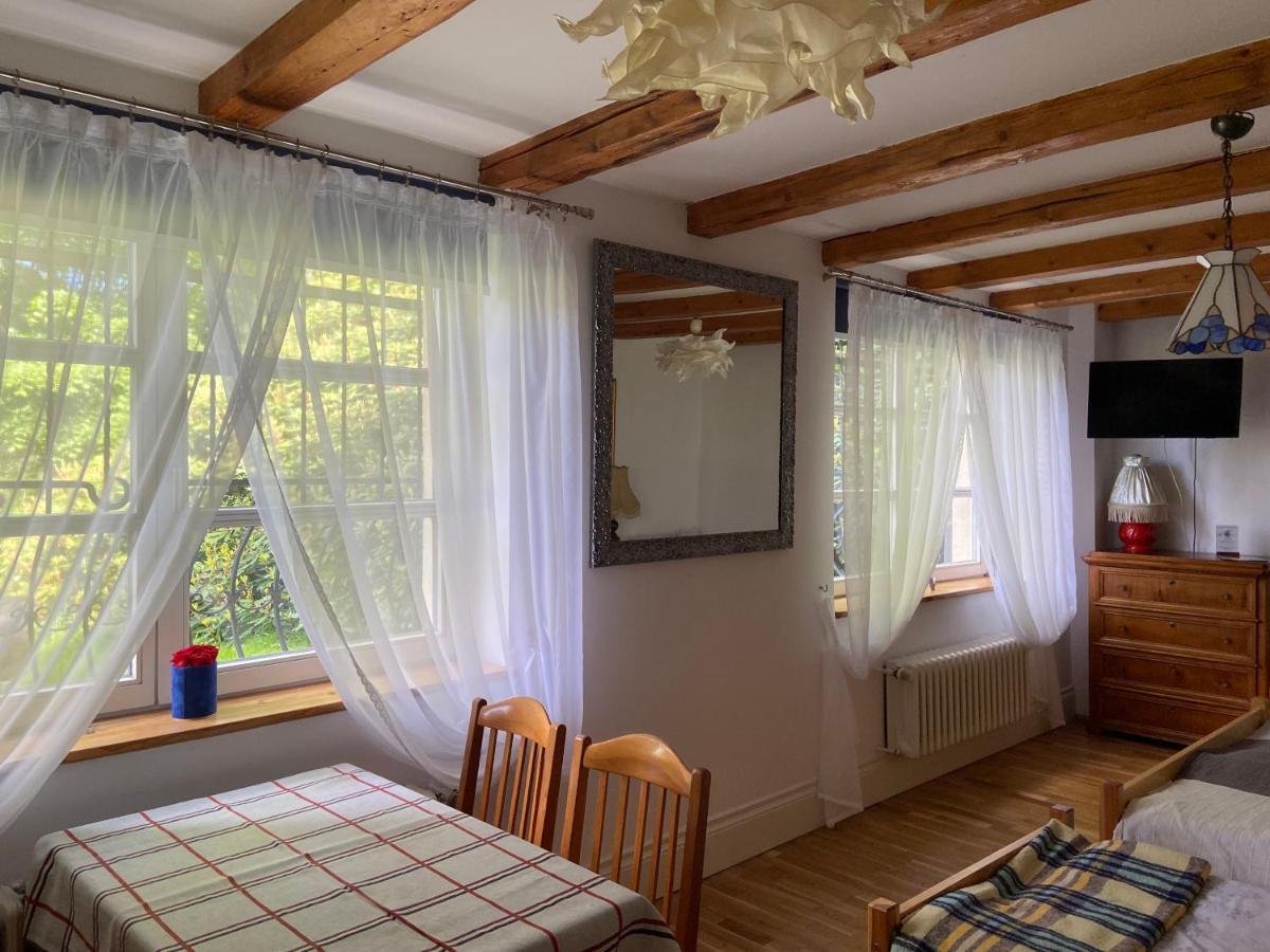 Villa Parkowa 5 Świeradów-Zdrój 外观 照片