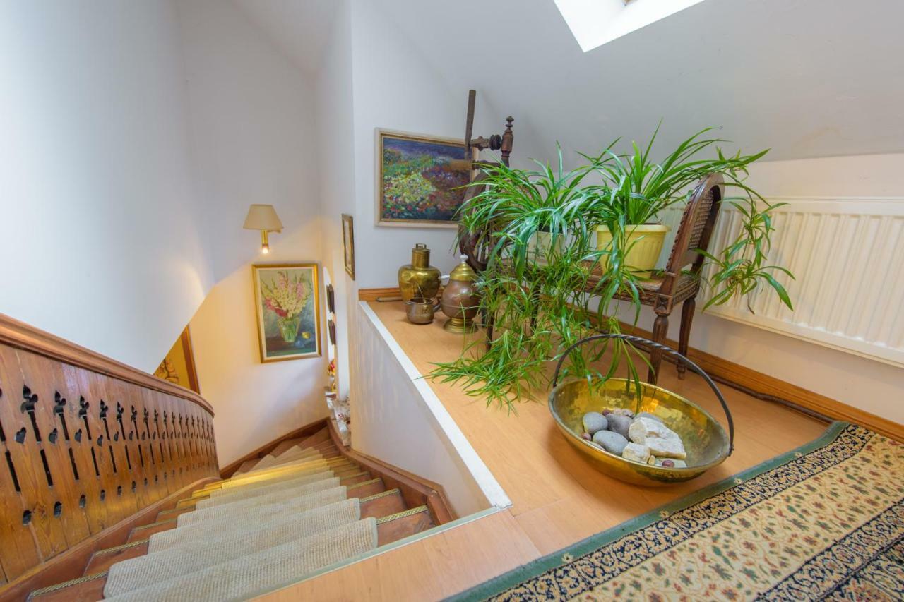 Villa Parkowa 5 Świeradów-Zdrój 外观 照片